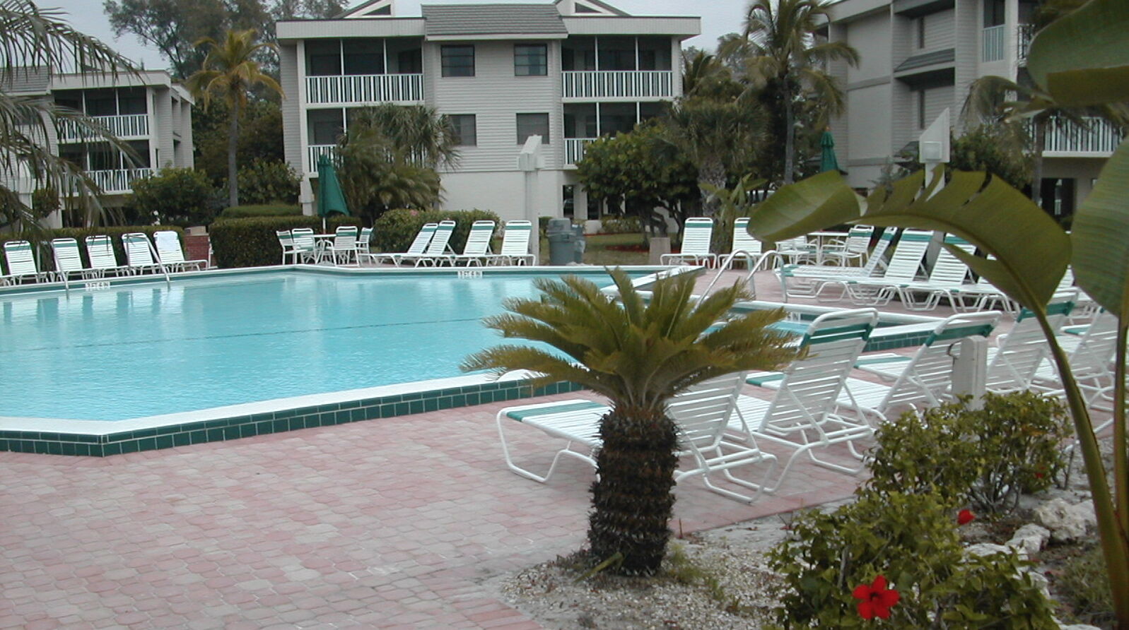 Shell Island Beach Club - Pool