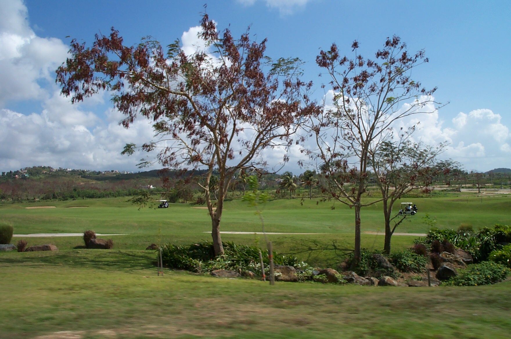 Club Cala de Palmas - Golf Course
