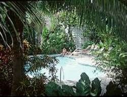 The Banyan Resort - Pool