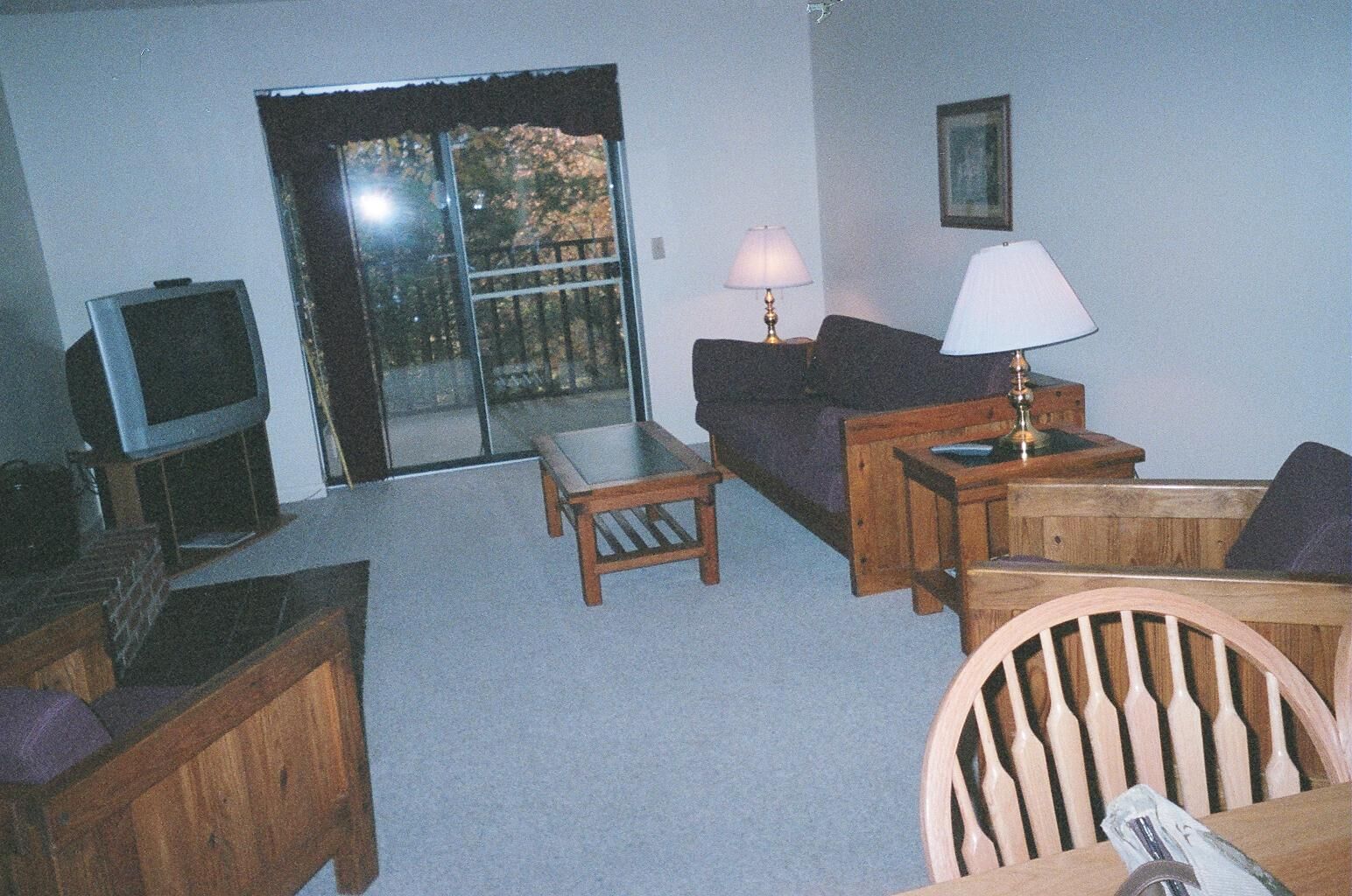 Senedo Springs - Unit Living Area