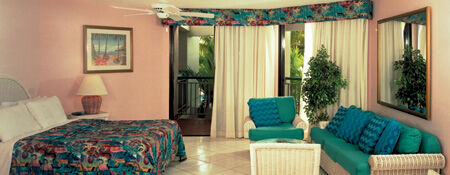 Divi Aruba Phoenix Beach Resort - Studio Unit