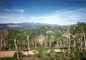 Powder Ridge Village