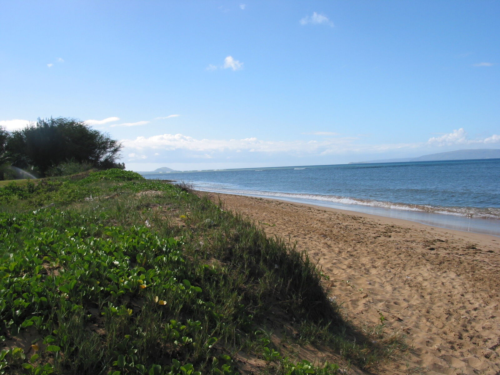Kapulanikai Vacation Suites - Beach At Foot Of Property