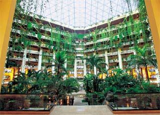 Melia Vacation Club at Melia Cancun - Lobby