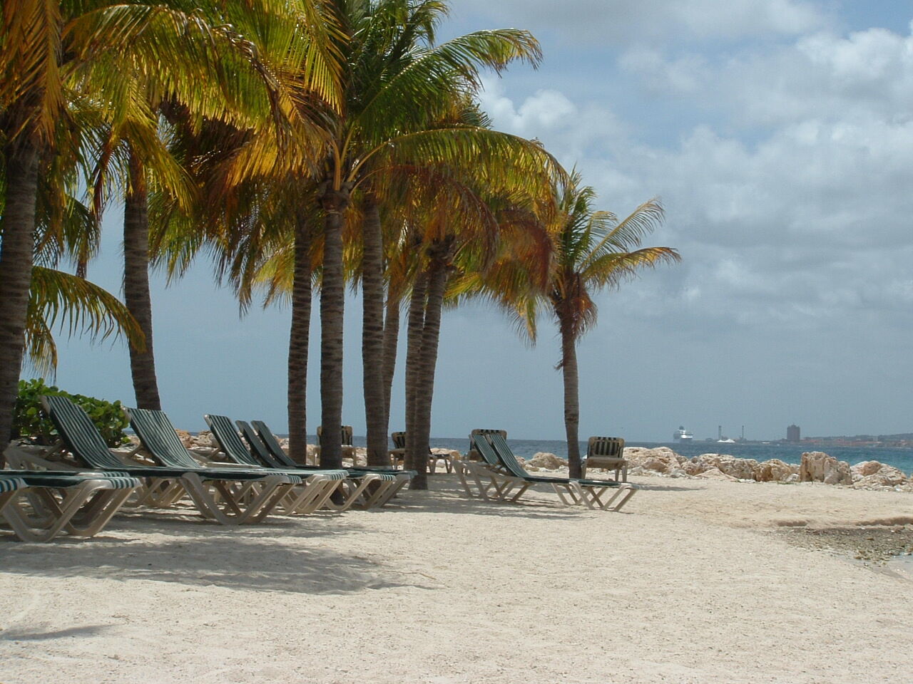 The Sea Aquarium Resort - Beach