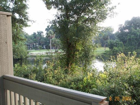Egret Point by Spinnaker - View From Balcony