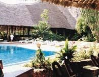 Palm Tree Club