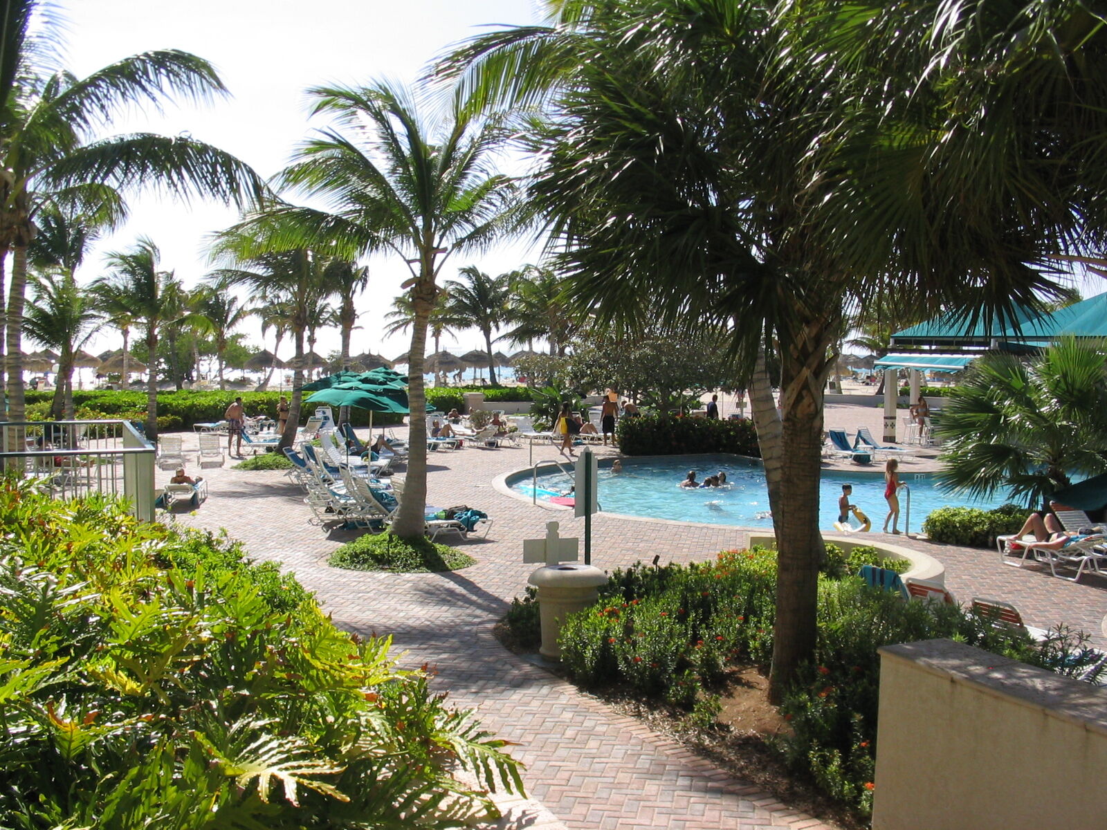 Marriott's Aruba Ocean Club - Pool