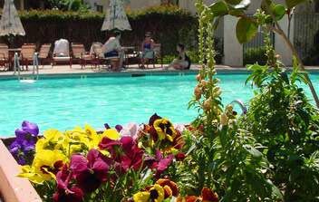 Los Abrigados Resort and Spa - outdoor pool