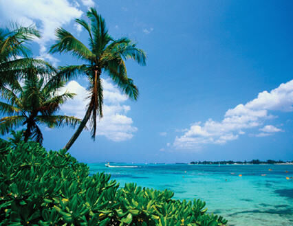 Sandyport Beaches Resort - View From Resort