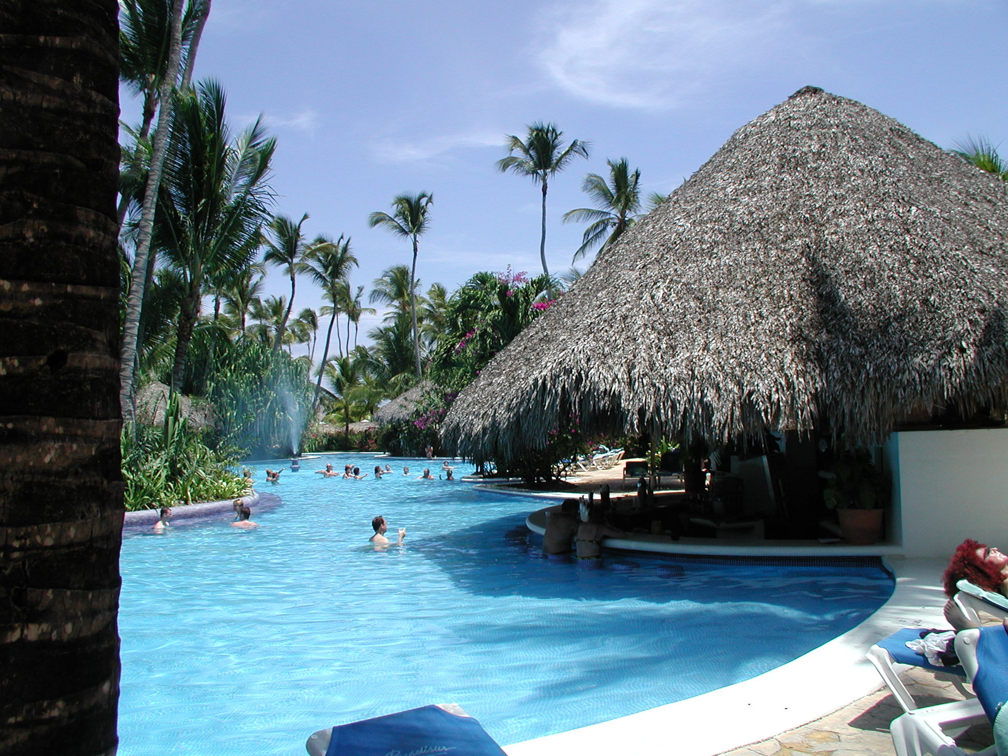 Melia Vacation Club at Paradisus Punta Cana - Pool