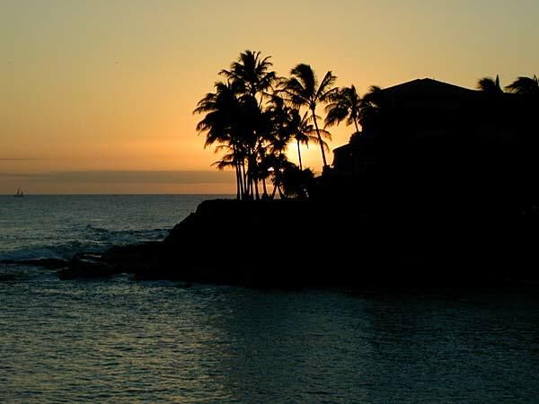 Sunset Beauty