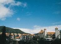 Greenhill Resort
