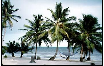 Captain Morgan's Vacation Beach Club - Beach
