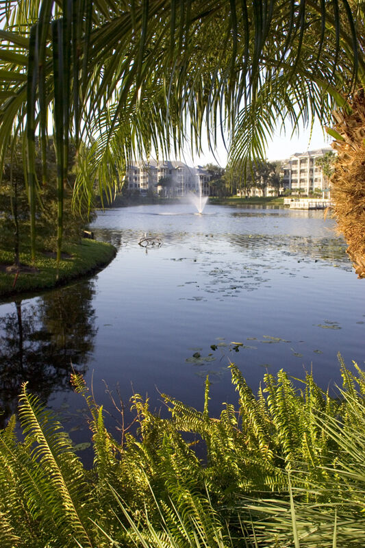 Marriott's Cypress Harbour - Lake