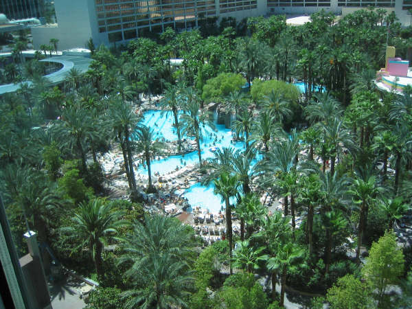 HGVC at the Flamingo - Pools