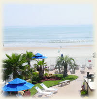 Sea Shells Beach Club