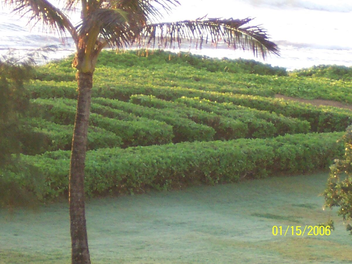 Kauai Beach Villas - Grounds