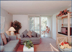 The Plaza Resort and Spa - Unit Living Area