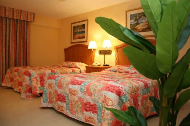 Aruba Beach Club - Deluxe villa 