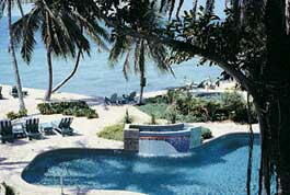 Coconut Beach Resort - Pool