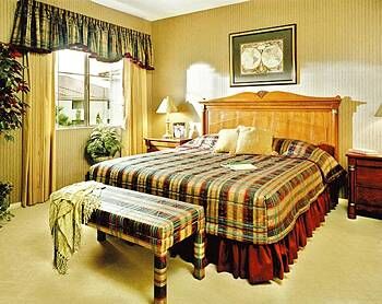 Desert Paradise Resort - Unit Bedroom