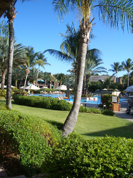 The Westin St. John Resort and Villas - outdoor pool