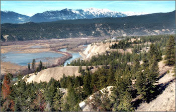 Area Scenery
