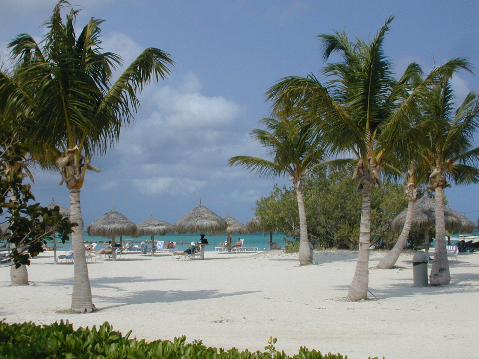 Marriott's Aruba Ocean Club - Beach