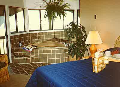 Bedroom and Tub at Hibiscus