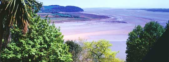 View From Laugharne Park
