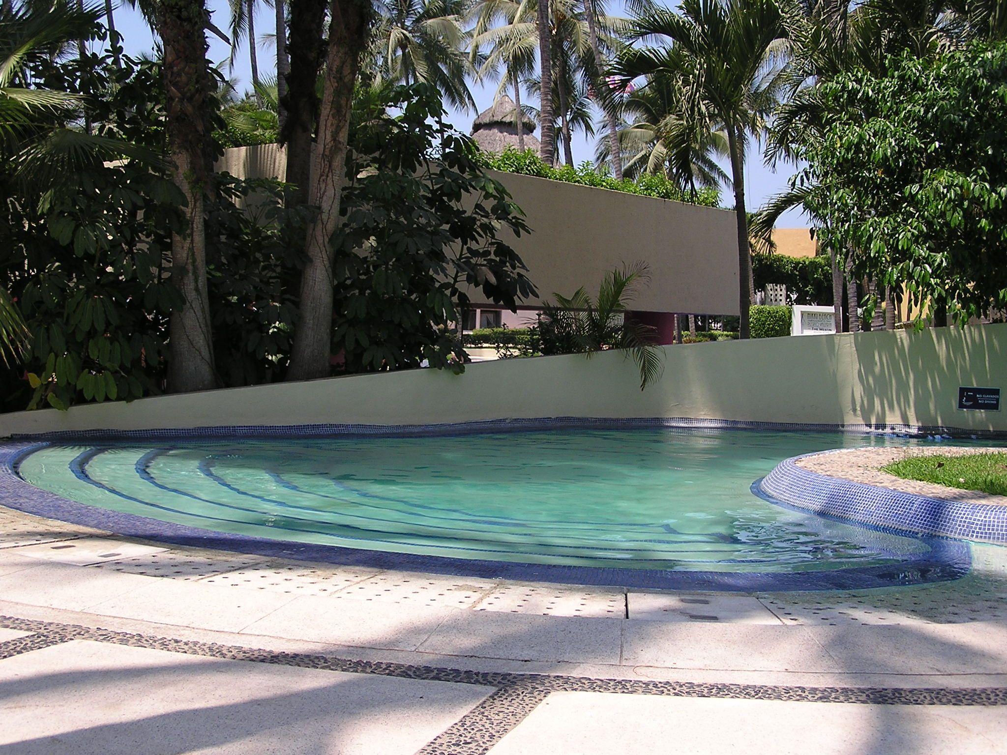 Club Regina Puerto Vallarta at Westin - Pool