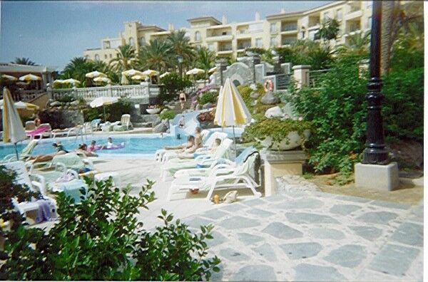 Palm Oasis - Pool