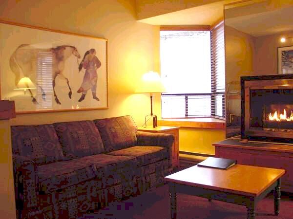 Mountainside Lodge - Unit Living Area
