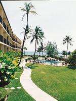 The Native Sun