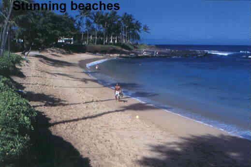 Napili Bay