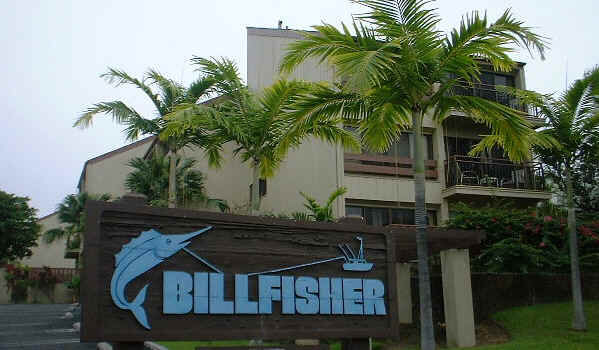 Kona Billfisher 