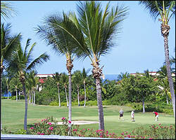 Royal Aloha Keauhou-Kona