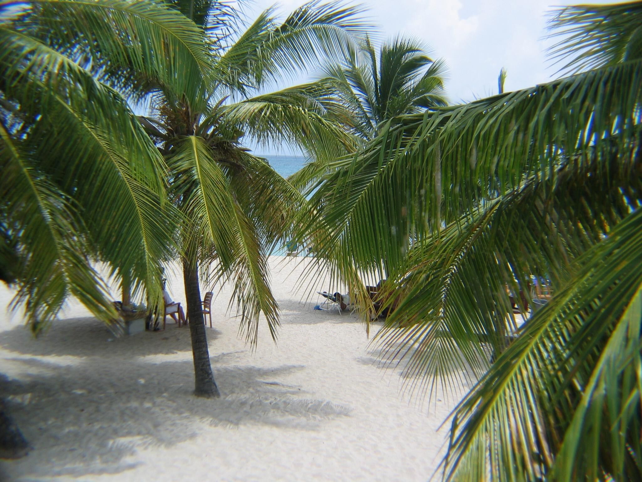 Pelican Resort Club - Pelican Beach
