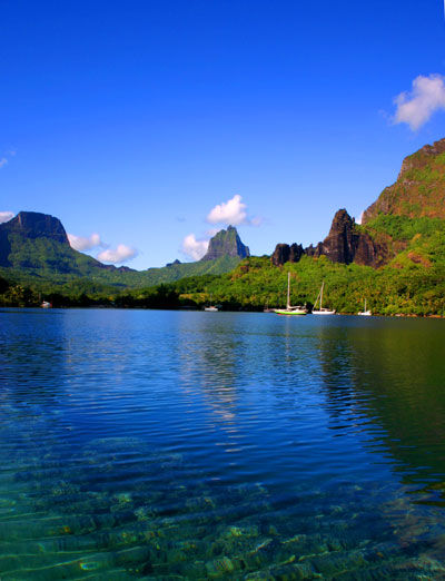 Club Bali Hai Moorea