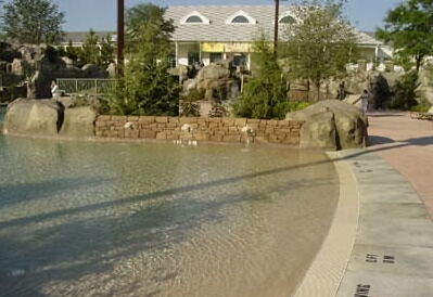 Disney's Saratoga Springs Resort & Spa - Grounds