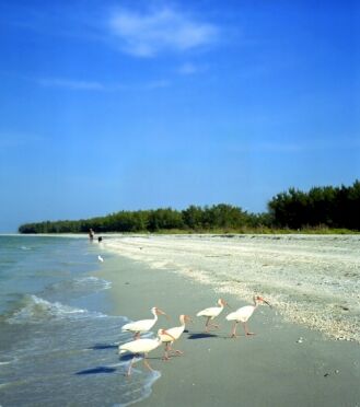Blind Pass Condominiums - Beach