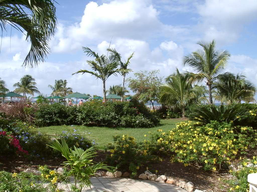 Royal Islander Club la Plage - Patio View