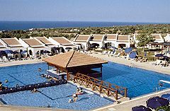Dedeman Olive Tree - Around The Pool