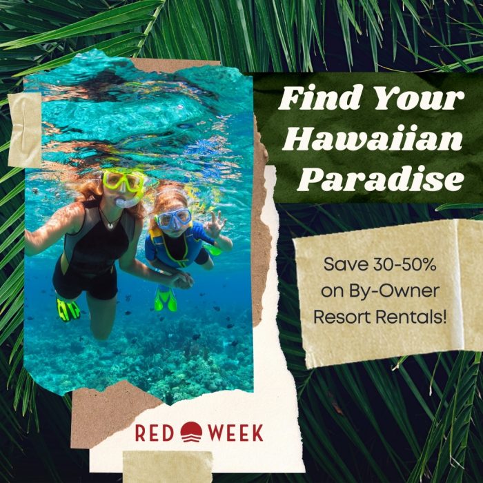 Hawaii & Aruba Ease Travel Restrictions Travel News at